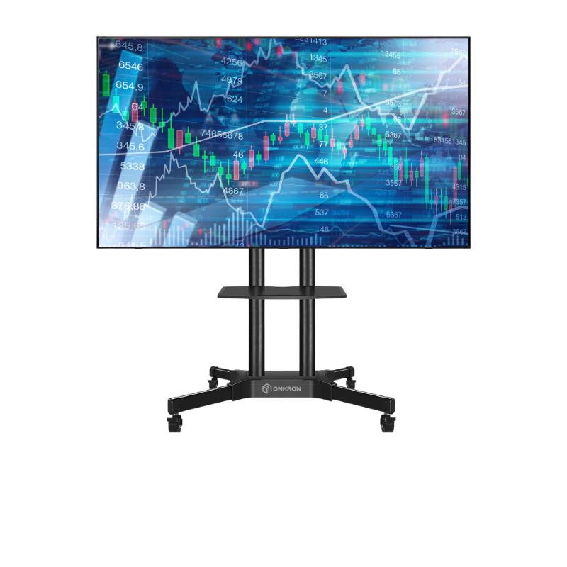 Multimedia